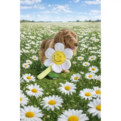 SMILEY WORLD® Smiley Face Flower Dog Toy - Image 6