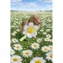 SMILEY WORLD® Smiley Face Flower Dog Toy image thumbnail 6
