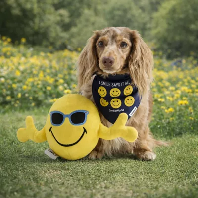 SMILEY WORLD® Iconic Smiley Face with Sunglasses Dog Toy - Image 3