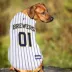 Milwaukee Brewers MLB Jersey image thumbnail 3