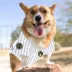 Milwaukee Brewers MLB Jersey image thumbnail 4
