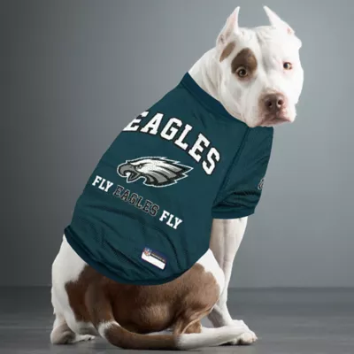 Pets First Philadelphia Eagles Raglan Jersey - Image 3