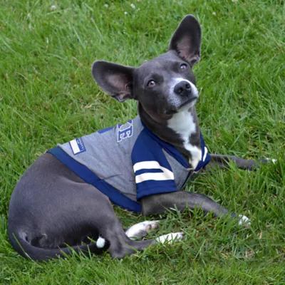 Pets First Duke University Hoodie Tee - Image 3