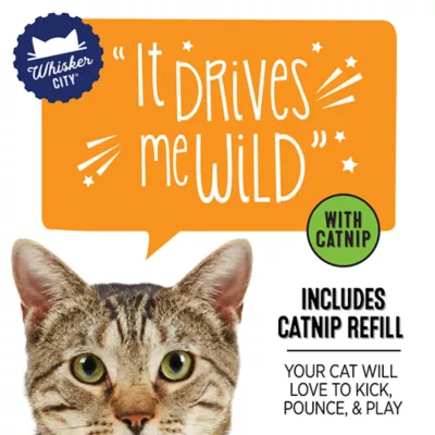 Whisker City® Ice Cream Refillable Cat Toys - Image 2