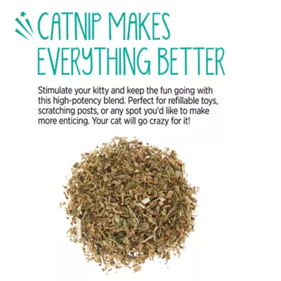 Whisker City® North American Catnip Blend - Image 4