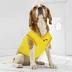 Pets First Utah Jazz Mesh Basketball Jersey image thumbnail 4