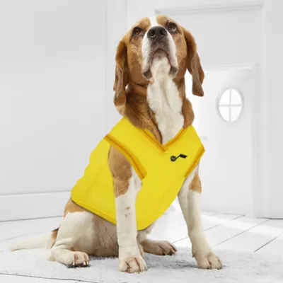 Pets First Utah Jazz Mesh Basketball Jersey - Image 4