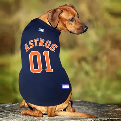 Houston Astros MLB Jersey - Image 3