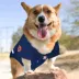 Houston Astros MLB Jersey image thumbnail 4