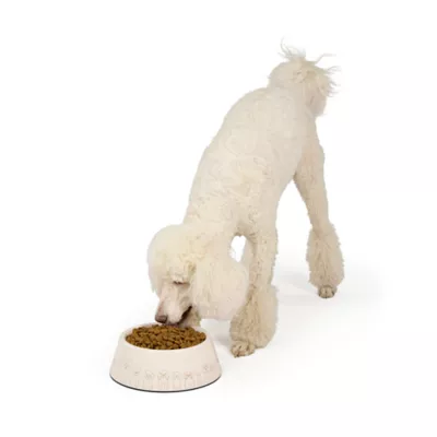 Top Paw® Tan Dog Melamine Dog Bowl 27oz, 52oz - Image 6