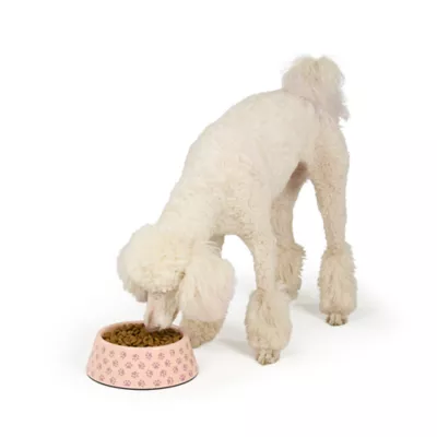 Top Paw® Pink Paw Melamine Dog Bowl 27oz, 52oz - Image 6