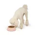 Top Paw® Pink Paw Melamine Dog Bowl 27oz, 52oz image thumbnail 6