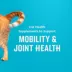 VetIQ Hip and Joint Cat Chews 3.7 OZ image thumbnail 4