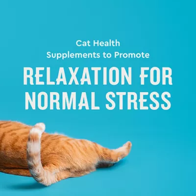 VetIQ Calming Cat Chews 3.7 OZ - Image 4