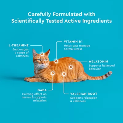VetIQ Calming Cat Chews 3.7 OZ - Image 6