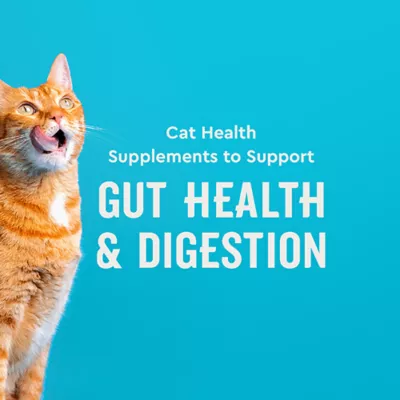 VetIQ Probiotic Cat Chews 3.7 OZ - Image 4