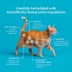 VetIQ Probiotic Cat Chews 3.7 OZ image thumbnail 6
