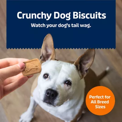 Blue Buffalo® Health Bars Crunchy Adult Dog Treats - 16 oz - Image 4