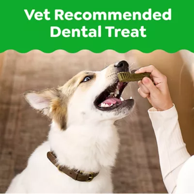 Greenies™ Adult Petite Dog Dental Treats - Natural, Oral Health, Original - Image 2