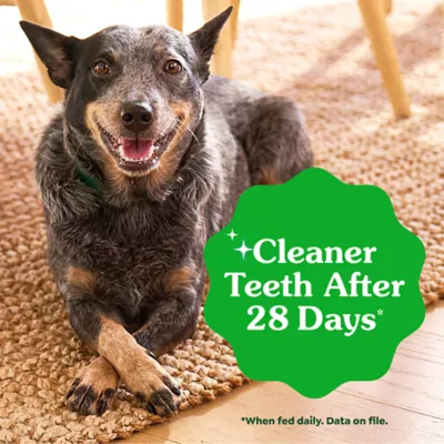 Greenies™ Adult Petite Dog Dental Treats - Natural, Oral Health, Original - Image 4