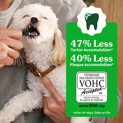 Greenies™ Adult Petite Dog Dental Treats - Natural, Oral Health, Original - Image 5