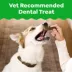 Greenies™ Adult Teenie Dog Dental Treats - Natural, Oral Health, Original image thumbnail 2