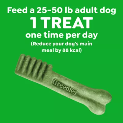 Greenies™ Adult Regular Dog Dental Treats - Natural, Oral Health, Original - Image 7