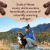 Zuke's Chewy Meaty Sticks Chicken Recipe Dog Treats image thumbnail 3