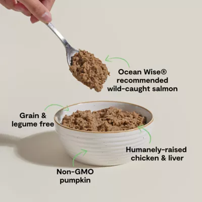 Open Farm Grain Free All Life Stages Wet Cat Food - Humanely Raised, Pate, 2.8 oz - Image 3