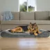 FurHaven Dog Minky Velvet Orthopedic Luxe Lounger Bed - Medium, Large, Giant, Jumbo, Jumbo Plus image thumbnail 2
