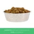 Top Paw® Bone Embossed Stainless Steel Dog Bowl 12oz, 64oz image thumbnail 4