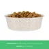 Top Paw® Bone Embossed Stainless Steel Dog Bowl 12oz, 64oz image thumbnail 4