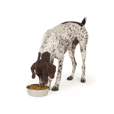 Top Paw® Bone Embossed Stainless Steel Dog Bowl 12oz, 64oz - Image 6