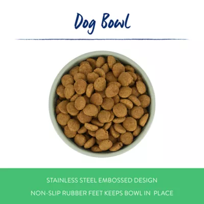 Top Paw® Green Embossed Stainless Steel Dog Bowl 12oz, 27oz, 64oz - Image 2