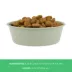 Top Paw® Green Embossed Stainless Steel Dog Bowl 12oz, 27oz, 64oz image thumbnail 4