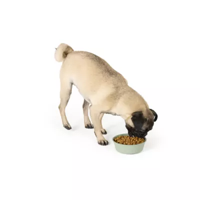 Top Paw® Green Embossed Stainless Steel Dog Bowl 12oz, 27oz, 64oz - Image 6