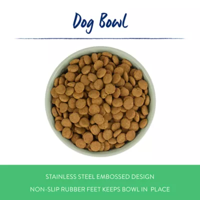 Top Paw® Green Embossed Stainless Steel Dog Bowl 12oz, 27oz, 64oz - Image 2