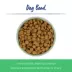 Top Paw® Green Embossed Stainless Steel Dog Bowl 12oz, 27oz, 64oz image thumbnail 2
