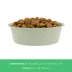 Top Paw® Green Embossed Stainless Steel Dog Bowl 12oz, 27oz, 64oz image thumbnail 4