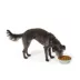 Top Paw® Green Embossed Stainless Steel Dog Bowl 12oz, 27oz, 64oz image thumbnail 6