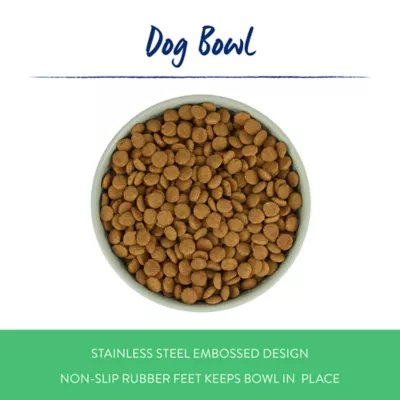Top Paw® Green Embossed Stainless Steel Dog Bowl 12oz, 27oz, 64oz - Image 2
