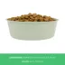 Top Paw® Green Embossed Stainless Steel Dog Bowl 12oz, 27oz, 64oz image thumbnail 4