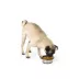 Top Paw® Non Slip Basic Stainless Steel Dog Bowl 12oz, 27oz, 52oz, 88oz, 136oz image thumbnail 6
