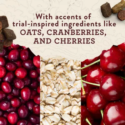 Zuke's Trail Mix Peanut Butter & Oats Recipe Dog Treats - Image 4