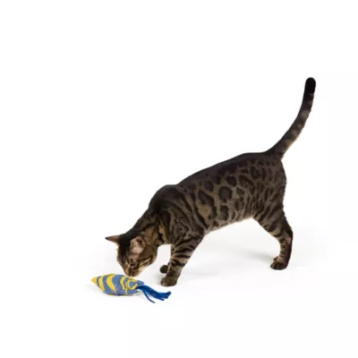 Whisker City® Fish Refillable Cat Toy - Image 2