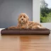 FurHaven Terry & Suede Memory Foam Deluxe Dog Bed Mattress - Espresso, Gray, Large - Jumbo Plus image thumbnail 3