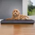 FurHaven Terry & Suede Memory Foam Deluxe Dog Bed Mattress - Espresso, Gray, Large - Jumbo Plus image thumbnail 2