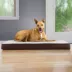 FurHaven Cooling Gel-Top Memory Foam Deluxe Dog Bed Mattress - Espresso, Gray image thumbnail 2