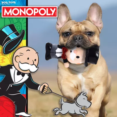 Hasbro Dog Toys 7in Monopoly Mr. Money Bags Plush Dog Toy - Image 2