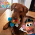 Hasbro Dog Toys Mr. Potato Head Plush Dog Toy image thumbnail 2